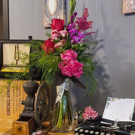 Rural Vivaldi Nature & Hotell