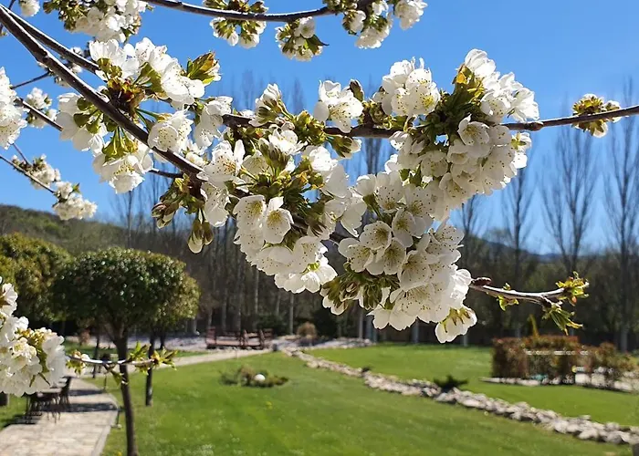 Rural Vivaldi Nature & * San Miguel de Las Duenas